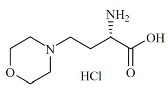 (S)-2-AMINO-4-MORPHOLINOBUTANOIC ACID HYDROCHLORIDE Pharmaceutical Analytical Impurity (PAI)