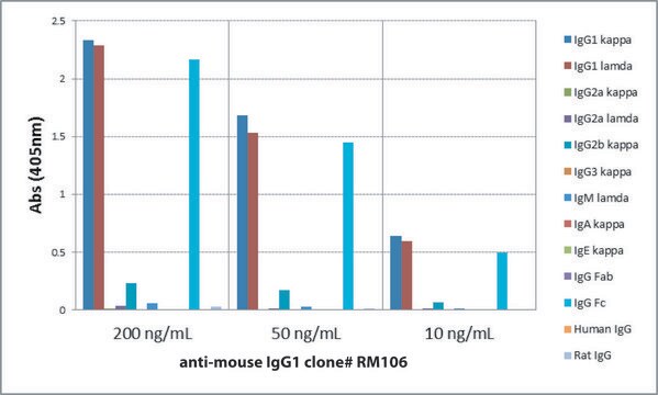 Anti-Mouse IgG1-Biotin antibody, Rabbit monoclonal recombinant, expressed in HEK 293 cells, clone RM106, purified immunoglobulin