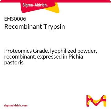 Recombinant Trypsin Proteomics Grade, lyophilized powder, recombinant, expressed in Pichia pastoris