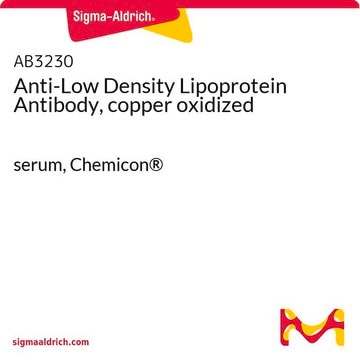 Anti-Low Density Lipoprotein Antibody, copper oxidized serum, Chemicon&#174;