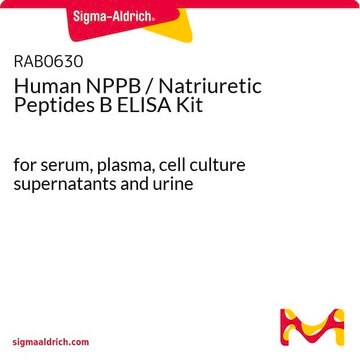 Human NPPB / Natriuretic Peptides B ELISA Kit for serum, plasma, cell culture supernatants and urine