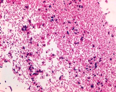 Safranine O (C.I. 50240) for microscopy Certistain&#174;