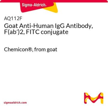 Goat Anti-Human IgG Antibody, F(ab&#8242;)2, FITC conjugate Chemicon&#174;, from goat