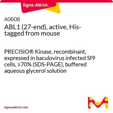 ABL1 (27-end)、活性型、 Hisタグ融合 マウス由来 PRECISIO&#174; Kinase, recombinant, expressed in baculovirus infected Sf9 cells, &#8805;70% (SDS-PAGE), buffered aqueous glycerol solution