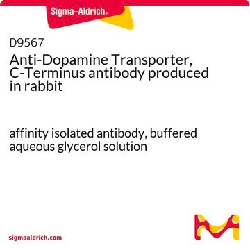 Anti-Dopamine Transporter, C-Terminus antibody produced in rabbit affinity isolated antibody, buffered aqueous glycerol solution