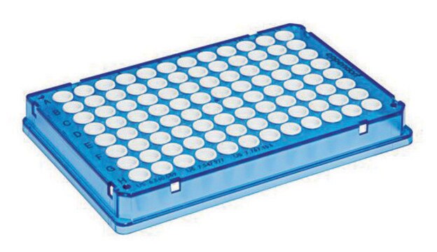 Eppendorf twin.tec&#174; Real-Time PCR Plates 96 Skirted, PCR clean, volume 250&#160;&#956;L, blue plate (white wells), pack of 25