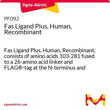 Fas Ligand Plus, Human, Recombinant Fas Ligand Plus, Human, Recombinant, consists of amino acids 103-281 fused to a 26-amino acid linker and FLAG&#174;-tag at the N-terminus and expressed in HEK293 cells.