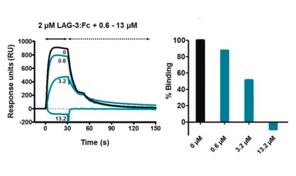 Anti-LAG-3 Antibody, clone 1B5 clone 1B5