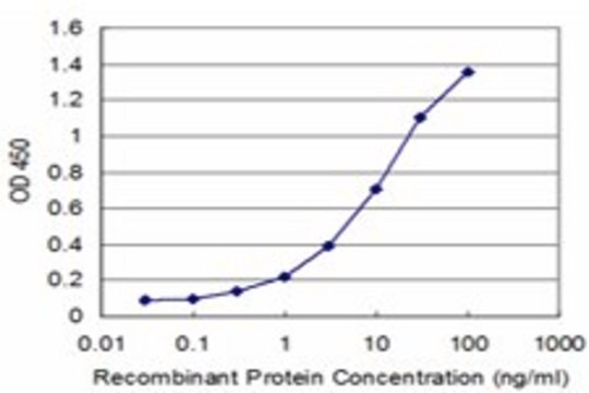 Monoclonal Anti-PDK4 antibody produced in mouse clone 1A9, purified immunoglobulin, buffered aqueous solution