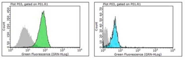 Anti-FGF23 Antibody, clone 278-2 clone 278-2, from mouse