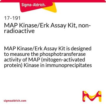 MAP Kinase/Erk Assay Kit, non-radioactive MAP Kinase/Erk Assay Kit is designed to measure the phosphotransferase activity of MAP (mitogen-activated protein) Kinase in immunoprecipitates &amp; column fractions.