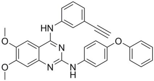 CIP2A Inhibitor, TD-19