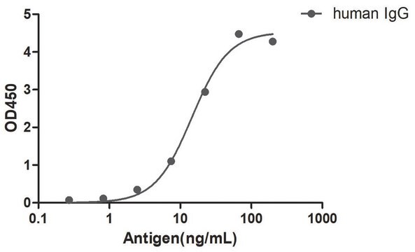 Alpaca Anti-Human IgG(Fc&#947;) HRP single domain Antibody recombinant Alpaca(VHH) Nano antibody