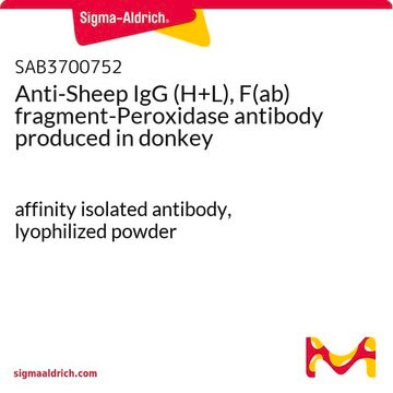 Anti-Sheep IgG (H+L), F(ab) fragment-Peroxidase antibody produced in donkey affinity isolated antibody, lyophilized powder