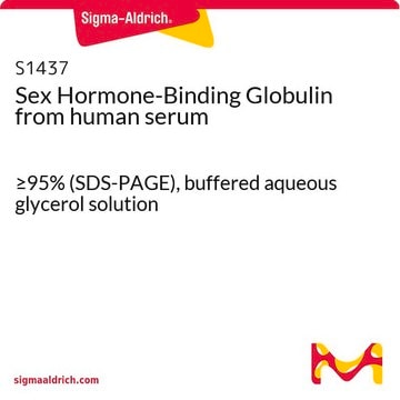 Sex Hormone-Binding Globulin from human serum &#8805;95% (SDS-PAGE), buffered aqueous glycerol solution