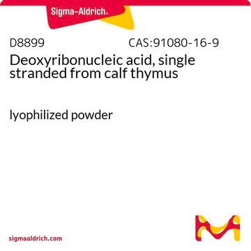 Deoxyribonucleic acid, single stranded from calf thymus lyophilized powder