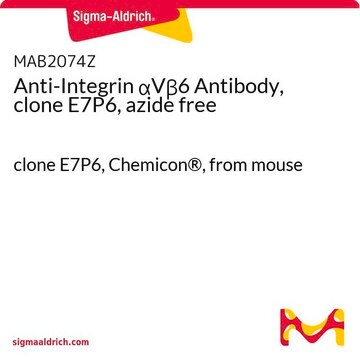 Anti-Integrin &#945;V&#946;6 Antibody, clone E7P6, azide free clone E7P6, Chemicon&#174;, from mouse