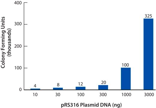 Yeast Transformation Kit reagents for introducing plasmid DNA into yeast