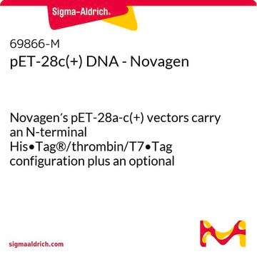 pET-28c(+) DNA - Novagen Novagen&#8242;s pET-28a-c(+) vectors carry an N-terminal His&#8226;Tag&#174;/thrombin/T7&#8226;Tag configuration plus an optional C-terminal His&#8226;Tag sequence.