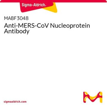 Anti-MERS-CoV Nucleoprotein Antibody