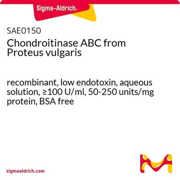 Chondroitinase ABC from Proteus vulgaris recombinant, low endotoxin, aqueous solution, &#8805;100 U/ml, 50-250 units/mg protein, BSA free