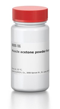 Muscle acetone powder from rabbit