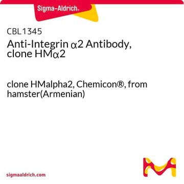 Anti-Integrin &#945;2 Antibody, clone HM&#945;2 clone HMalpha2, Chemicon&#174;, from hamster(Armenian)