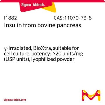 Insulin from bovine pancreas &#947;-irradiated, BioXtra, suitable for cell culture, potency: &#8805;20&#160;units/mg (USP units), lyophilized powder