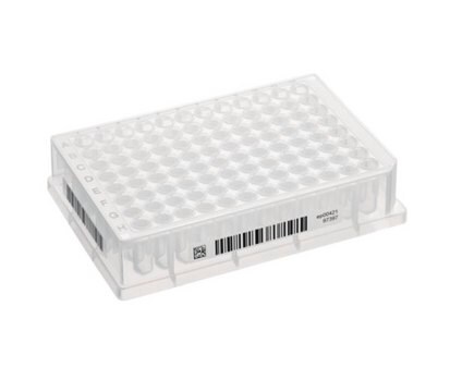 Eppendorf&#174; Deepwell 96 Well PCR Plate with SafeCode System (data matrix code, barcode and plain text labels) 500 µL per well, clear white wells, PCR clean