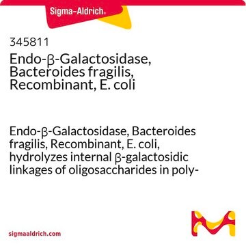 Endo-&#946;-Galactosidase, Bacteroides fragilis, Recombinant, E. coli Endo-&#946;-Galactosidase, Bacteroides fragilis, Recombinant, E. coli, hydrolyzes internal &#946;-galactosidic linkages of oligosaccharides in poly-N-acetyl-lactosamine structures.