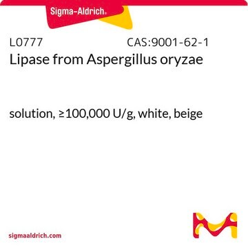 Lipase from Aspergillus oryzae solution, &#8805;100,000&#160;U/g, white, beige