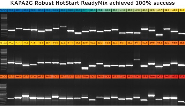 KAPA2G Robust HotStart ReadyMix 2&#160;×, with dye