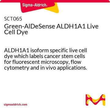 Green-AlDeSense ALDH1A1 Live Cell Dye ALDH1A1 isoform specific live cell dye which labels cancer stem cells for fluorescent microscopy, flow cytometry and in vivo applications.