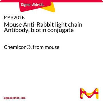 Mouse Anti-Rabbit light chain Antibody, biotin conjugate Chemicon&#174;, from mouse