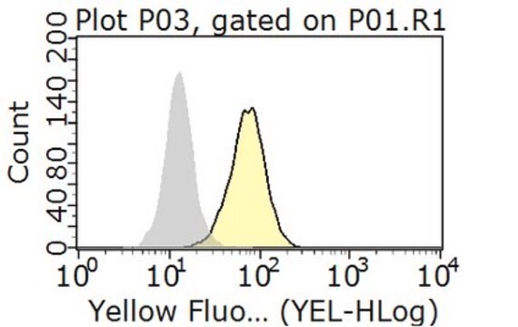 Anti-Integrin &#945;V&#946;5 Antibody, clone P1F6, Phycoerythrin conjugate clone P1F6, from mouse, PE