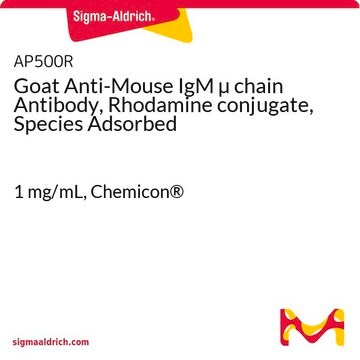 Goat Anti-Mouse IgM &#181; chain Antibody, Rhodamine conjugate, Species Adsorbed 1&#160;mg/mL, Chemicon&#174;