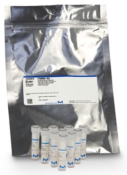 Pseudomonas paraeruginosa WDCM 00026 Vitroids&#8482; 15-80 CFU mean value range, certified reference material, suitable for microbiology, Manufactured by: Sigma-Aldrich Production GmbH, Switzerland