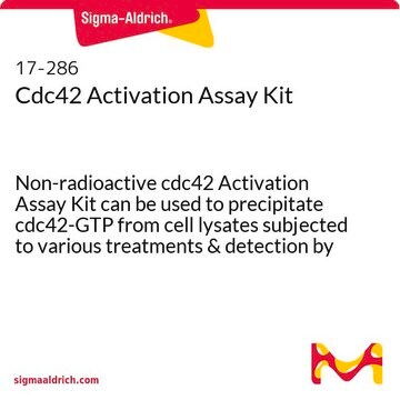 Cdc42 Activation Assay Kit Non-radioactive cdc42 Activation Assay Kit can be used to precipitate cdc42-GTP from cell lysates subjected to various treatments &amp; detection by a cdc42 specific monoclonal antibody.