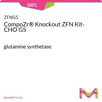 CompoZr&#174; Knockout ZFN Kit- CHO GS glutamine synthetase