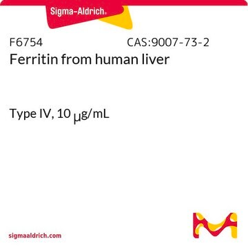 Ferritin from human liver Type IV, 10&#160;&#956;g/mL