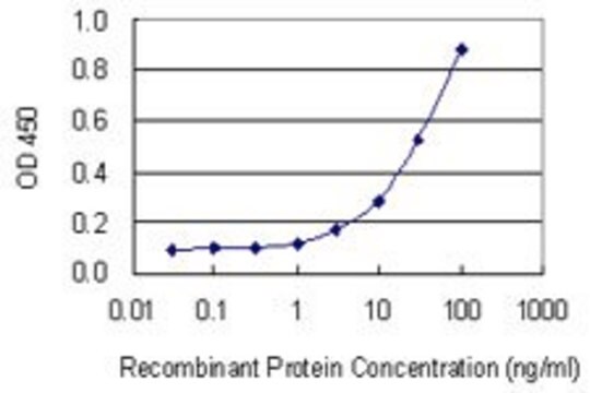 Monoclonal Anti-RAB34, (C-terminal) antibody produced in mouse clone 3A5, purified immunoglobulin, buffered aqueous solution