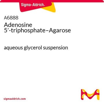 Adenosine 5&#8242;-triphosphate–Agarose aqueous glycerol suspension