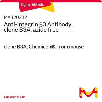 Anti-Integrin &#946;3 Antibody, clone B3A, azide free clone B3A, Chemicon&#174;, from mouse