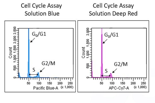 BioTracker&#8482; Blue Live Cell Cycle Assay Solution