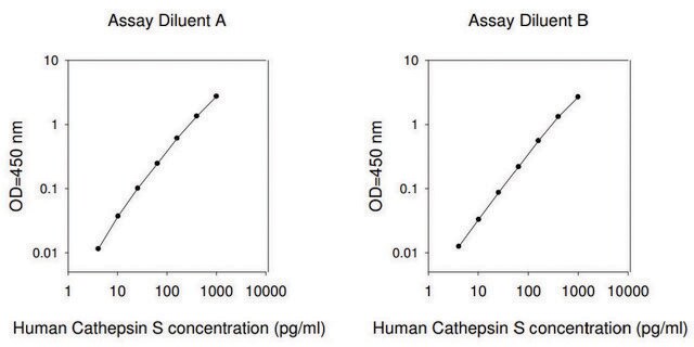 Human Cathepsin S ELISA Kit for serum, plasma, cell culture supernatant and urine