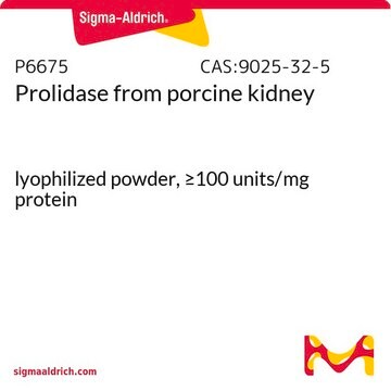 Prolidase from porcine kidney lyophilized powder, &#8805;100&#160;units/mg protein