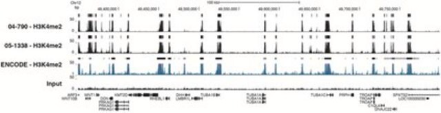 Anti-dimethyl-Histone H3 (Lys4) Antibody, clone AW30, Trial Size culture supernatant, clone AW30, Upstate&#174;