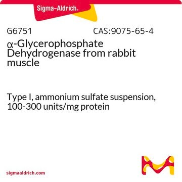 &#945;-グリセロリン酸デヒドロゲナーゼ ウサギ筋肉由来 Type I, ammonium sulfate suspension, 100-300&#160;units/mg protein