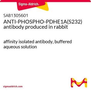 ANTI-PHOSPHO-PDHE1A(S232) antibody produced in rabbit affinity isolated antibody, buffered aqueous solution