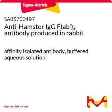 Anti-Hamster IgG F(ab&#8242;)2 antibody produced in rabbit affinity isolated antibody, buffered aqueous solution